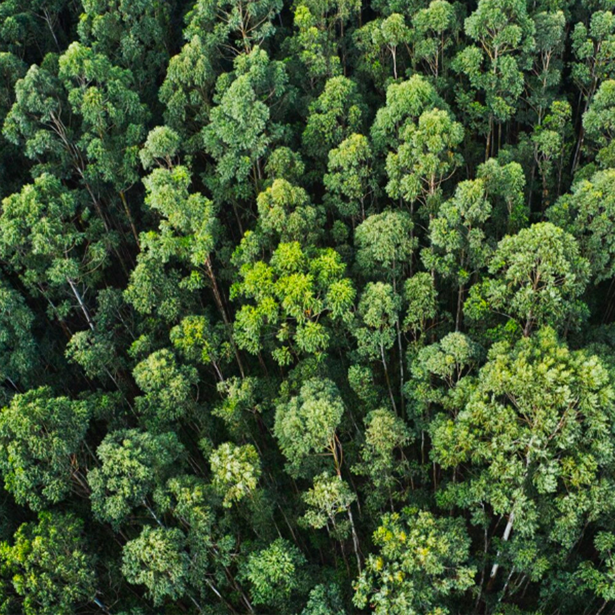 Img Blocco Sostenibile 1