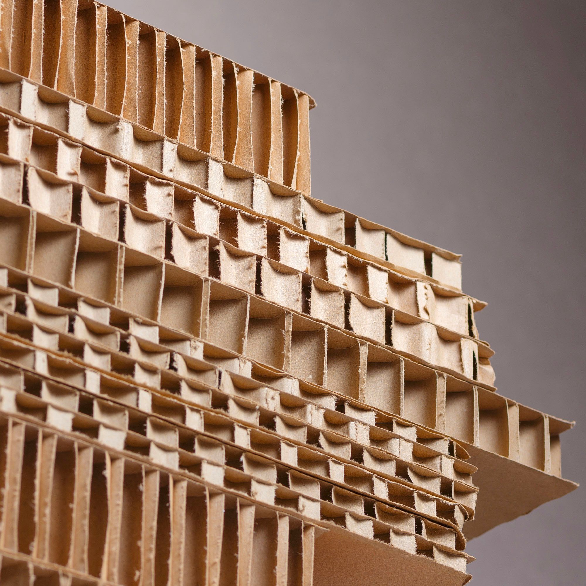 Img Blocco Cartone 1